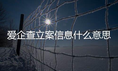 爱企查立案信息什么意思啊怎么查看