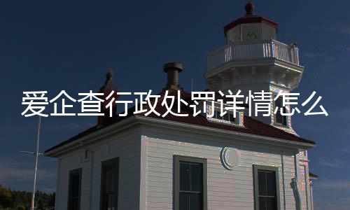 爱企查行政处罚详情怎么查询不到