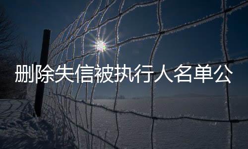 删除失信被执行人名单公告怎么查到的呢知乎文章