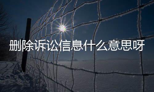 删除诉讼信息什么意思呀怎么写的呢英语怎么说