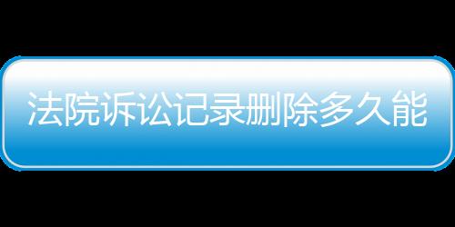 法院诉讼记录删除多久能查到结果呢视频回放